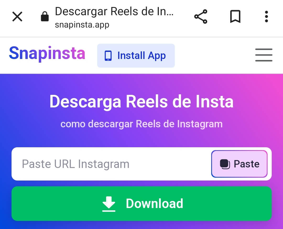 Descargar reels de Instagram con Snapinsta